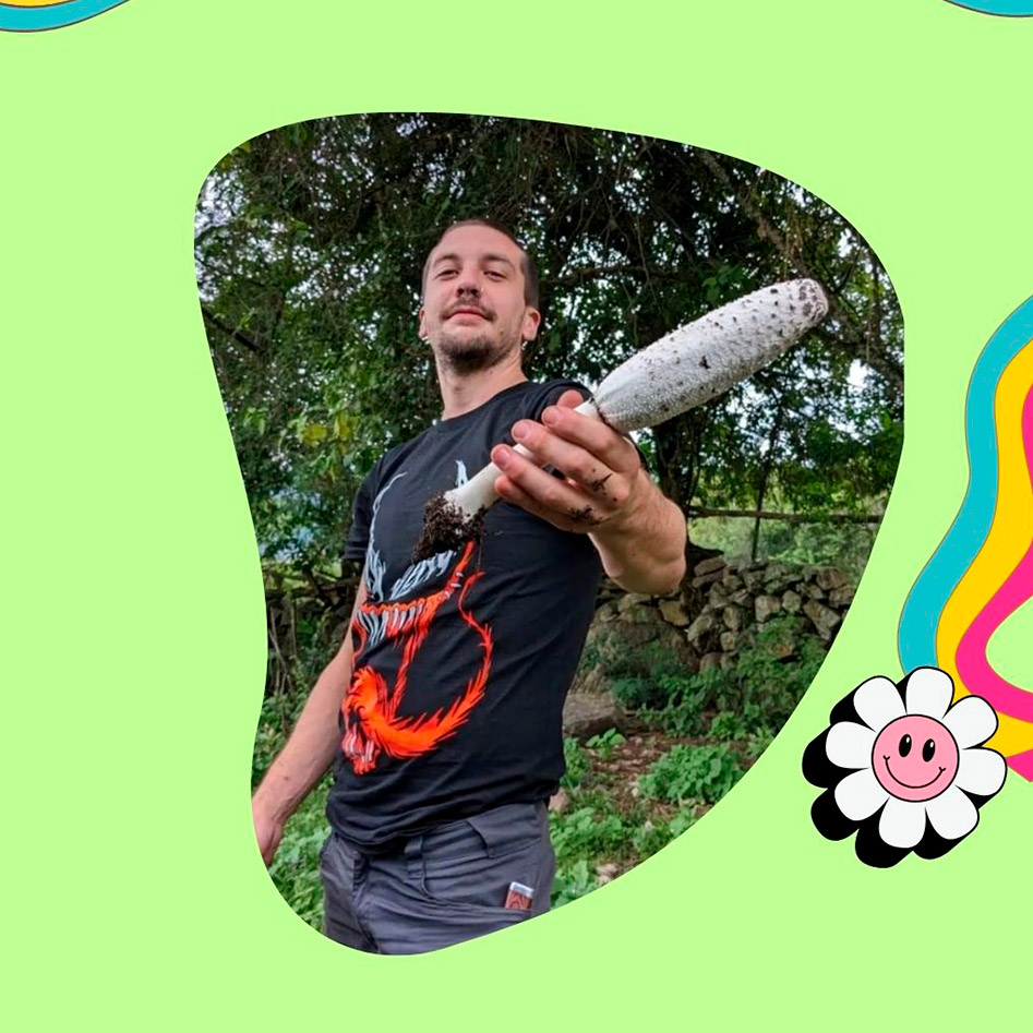 Hongos de Buenos Aires